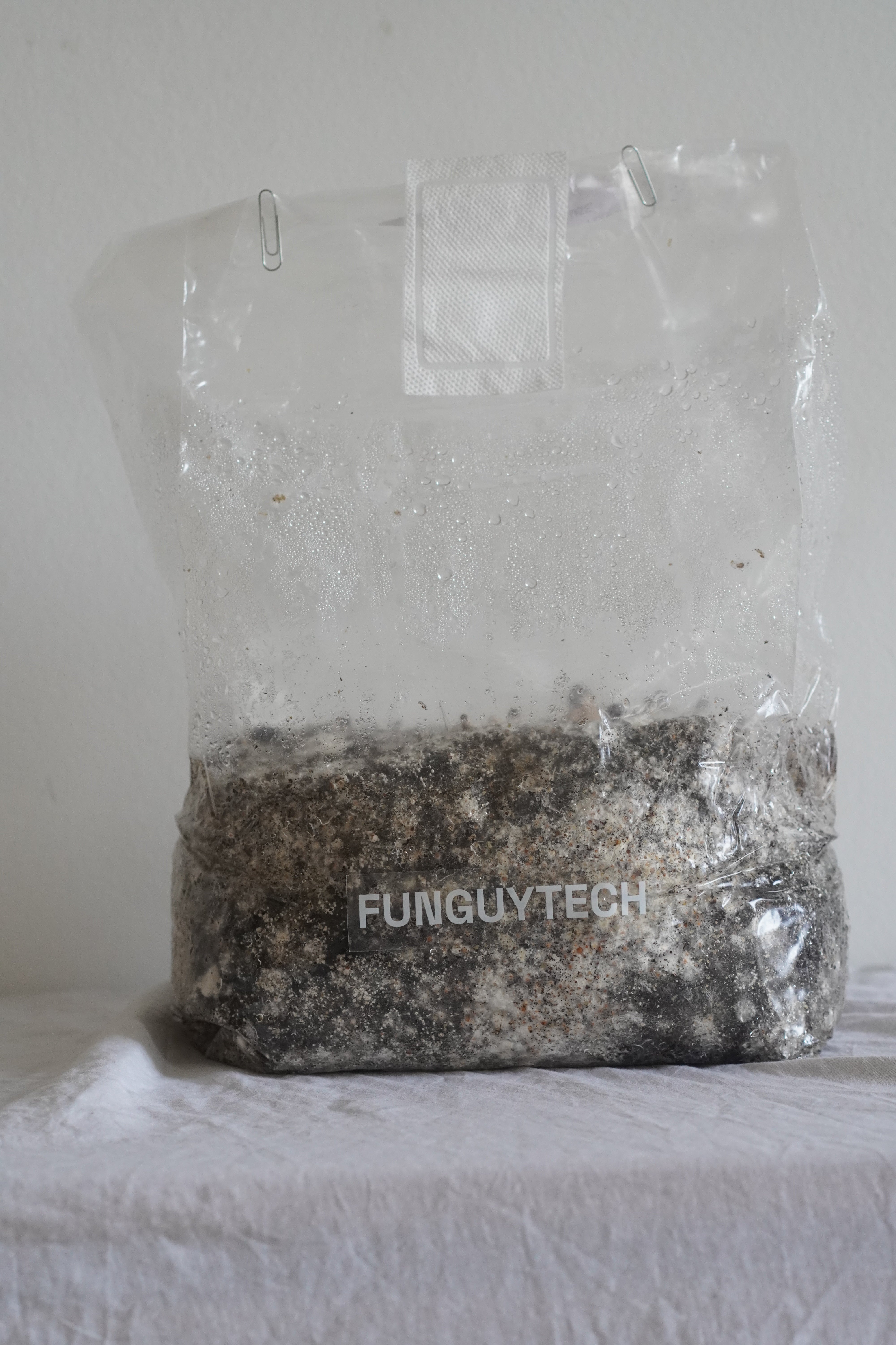 FunGuytech 800g Grow Kit