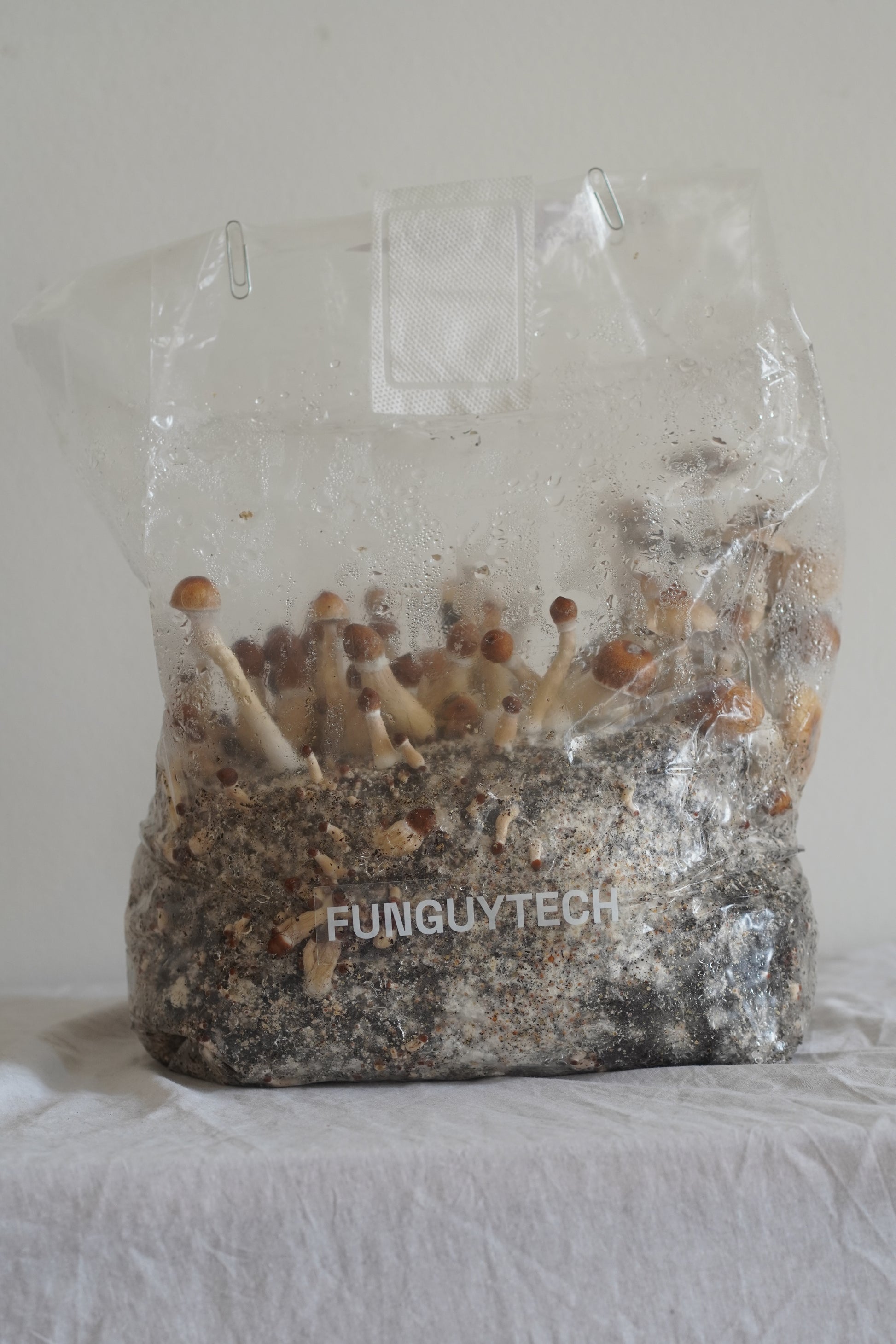 FunGuyTech 800g Grow Kit
