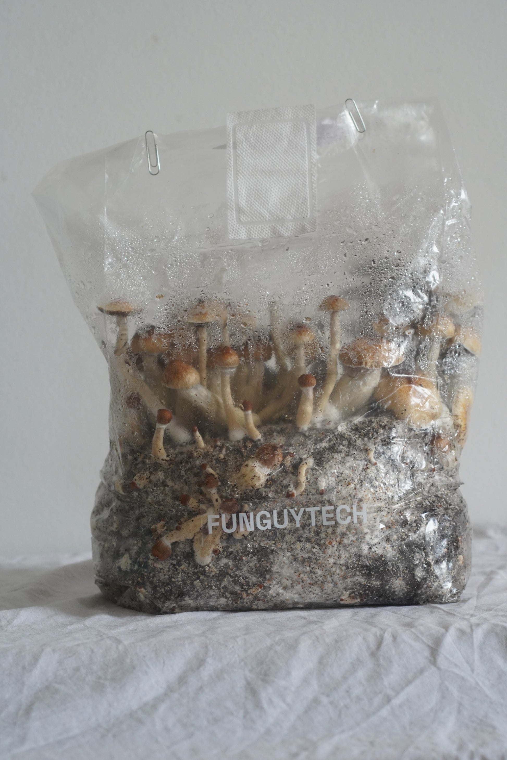 FunGuyTech 800g Grow Kit