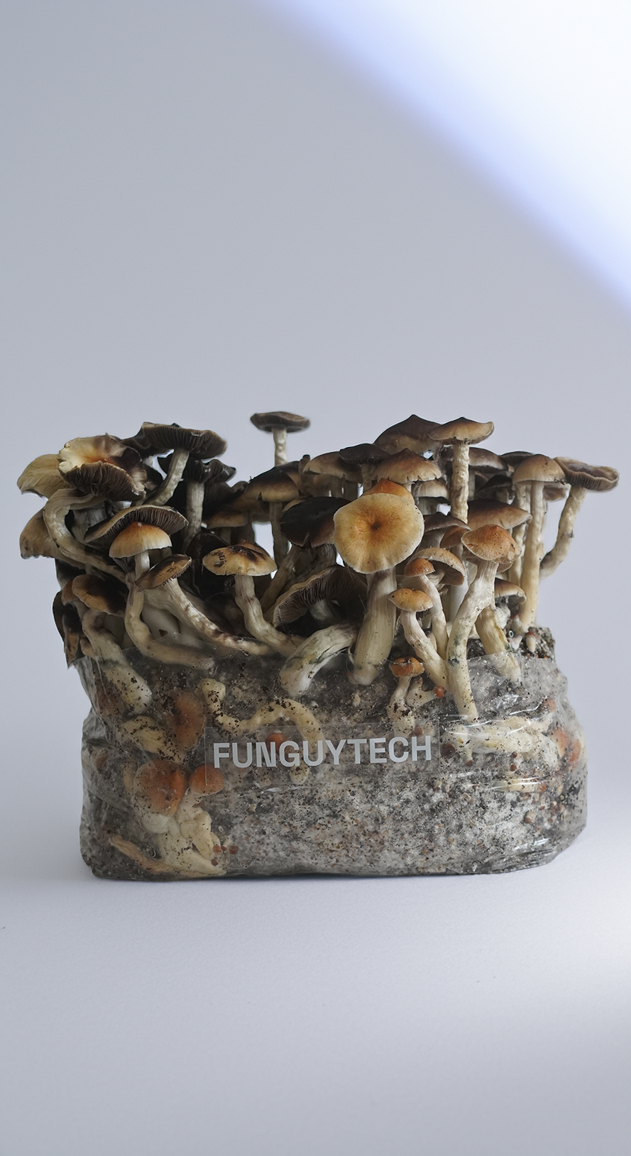 FunGuyTech 800g Grow Kit